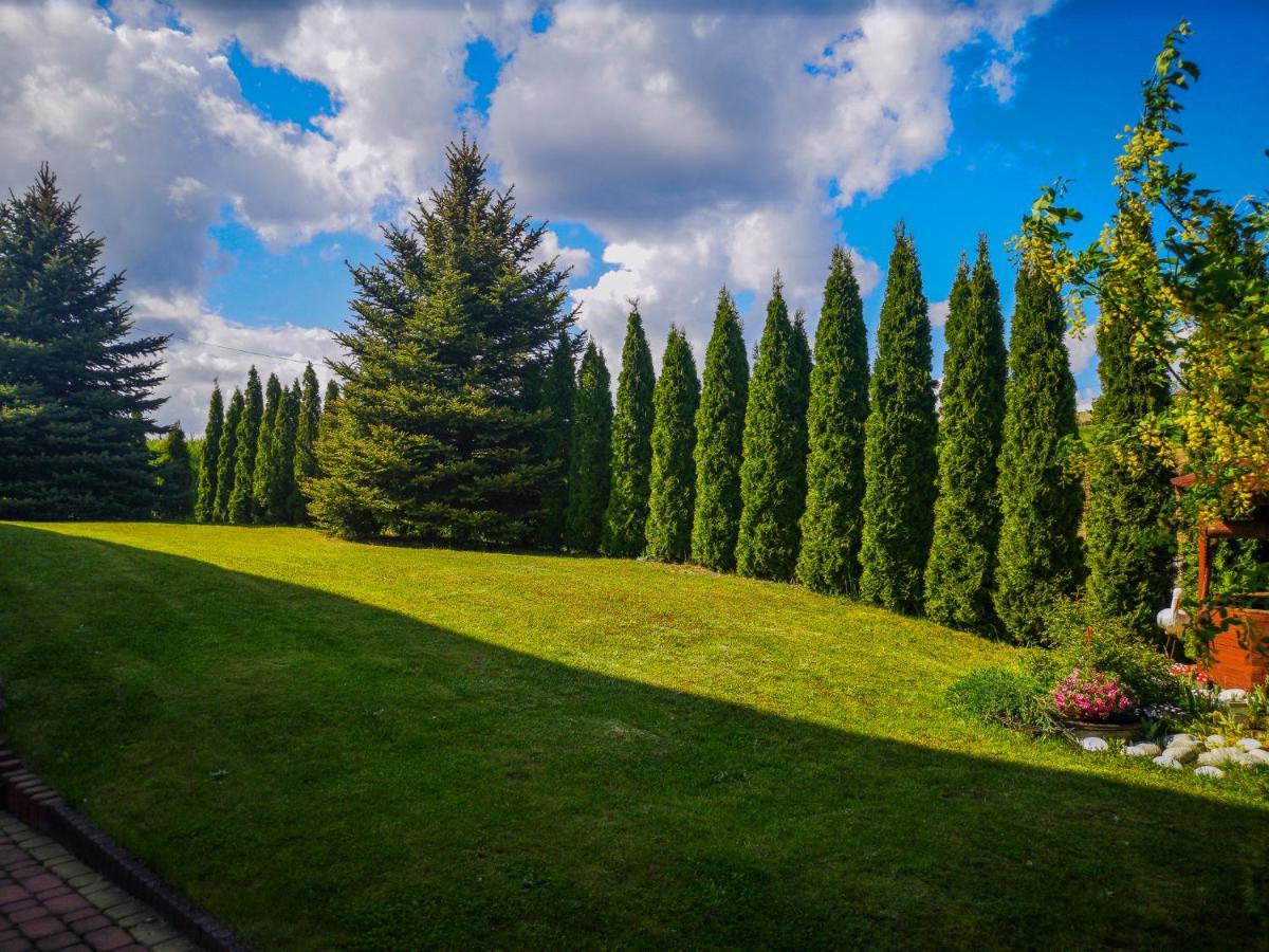 Swierkowy Zakatek Gorno  エクステリア 写真